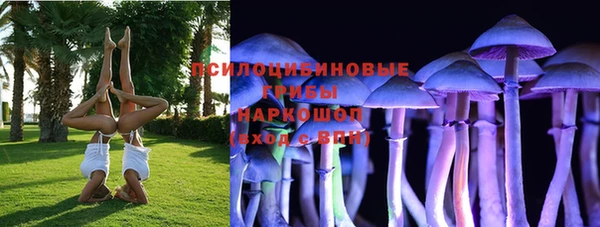 кокс Бородино